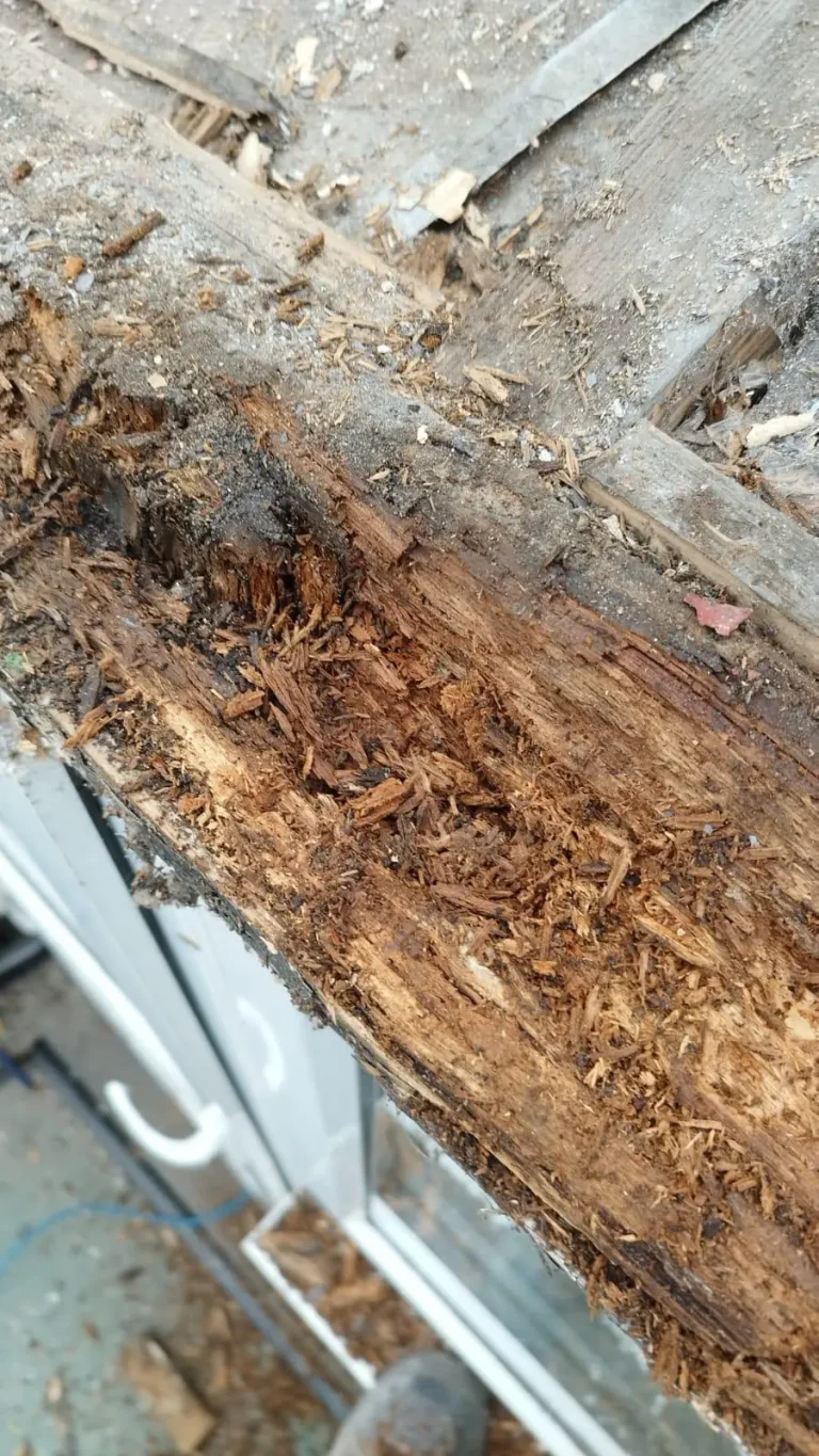 Rotten roof timber encountered by AAA Roofing